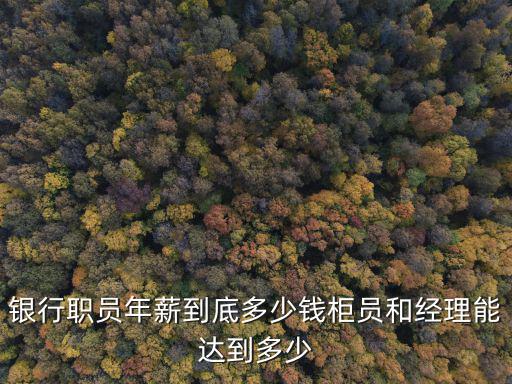 銀行職員年薪到底多少錢柜員和經理能達到多少