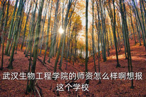 武漢思大教育上班怎么樣,在武漢打工生活怎么樣