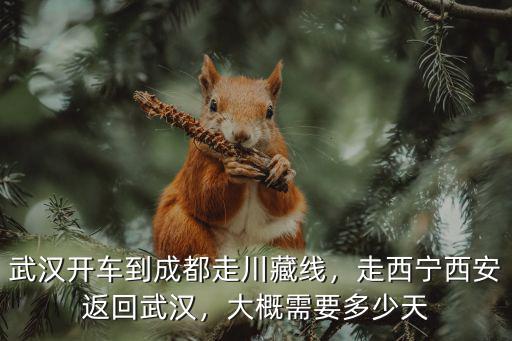 武漢開車到成都走川藏線，走西寧西安返回武漢，大概需要多少天