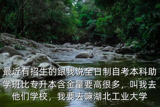 最近有招生的跟我說全日制自考本科助學班比專升本含金量要高很多，叫我去他們學校，我要去嘛湖北工業(yè)大學