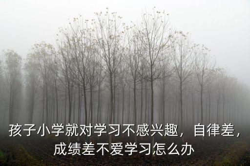 開封小學沒學上怎么辦,成績差不愛學習怎么辦