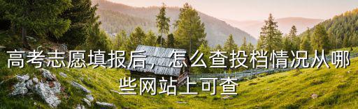 高考志愿填報后，怎么查投檔情況從哪些網站上可查