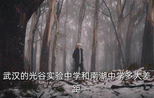 武漢光谷實驗中心怎么樣,武漢光谷中心城