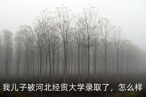 我兒子被河北經(jīng)貿(mào)大學(xué)錄取了，怎么樣