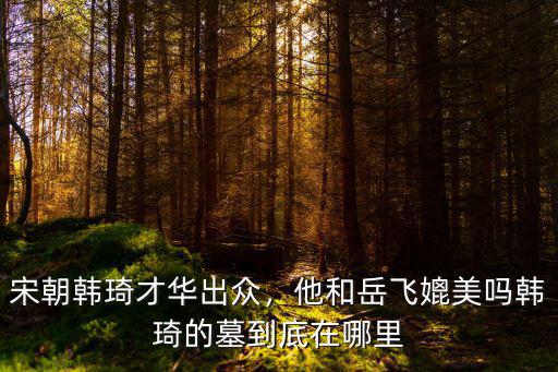 宋朝韓琦才華出眾，他和岳飛媲美嗎韓琦的墓到底在哪里