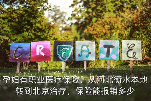 衡水醫保報銷能報多少,保險能報銷多少