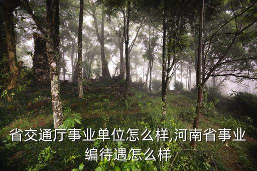 河南省交通廳事業單位怎么樣,河南省事業編待遇怎么樣