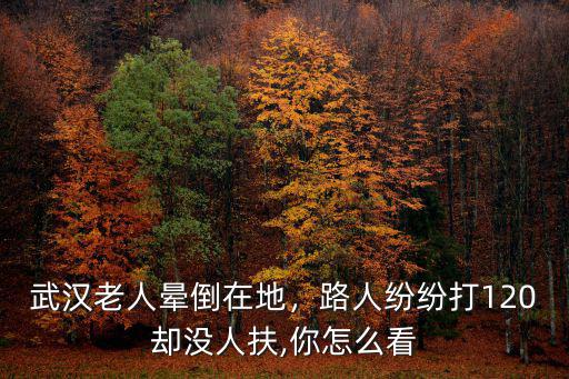 武漢老人暈倒在地，路人紛紛打120卻沒人扶,你怎么看