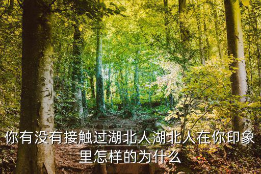 你有沒有接觸過湖北人湖北人在你印象里怎樣的為什么