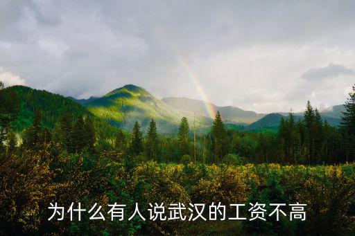為什么有人說武漢的工資不高