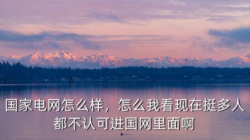 國(guó)家電網(wǎng)怎么樣，怎么我看現(xiàn)在挺多人都不認(rèn)可進(jìn)國(guó)網(wǎng)里面啊
