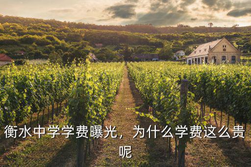 衡水中學(xué)學(xué)費(fèi)曝光，為什么學(xué)費(fèi)這么貴呢