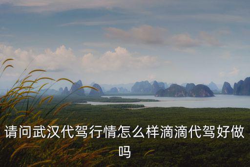 武漢滴滴代駕怎么入取快,滴滴代駕好做嗎