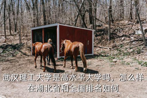 武漢理工大學是高水平大學嗎，怎么樣在湖北省和全國排名如何