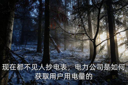 現(xiàn)在都不見人抄電表，電力公司是如何獲取用戶用電量的
