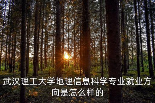 武漢理工大學(xué)地理信息科學(xué)專業(yè)就業(yè)方向是怎么樣的