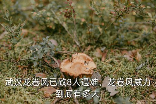 武漢龍卷風(fēng)已致8人遇難，龍卷風(fēng)威力到底有多大