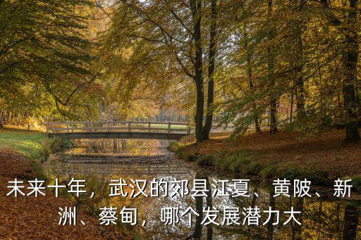 未來(lái)十年，武漢的郊縣江夏、黃陂、新洲、蔡甸，哪個(gè)發(fā)展?jié)摿Υ? class=