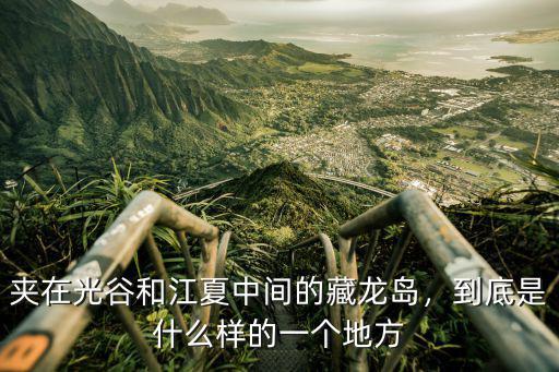 武漢江夏的藏龍島小學怎么樣,夾在光谷和江夏中間的藏龍島