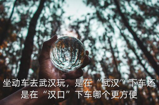 坐動(dòng)車去武漢玩，是在“武漢”下車還是在“漢口”下車哪個(gè)更方便