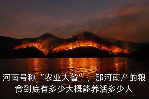 河南號稱“農業大省”，那河南產的糧食到底有多少大概能養活多少人