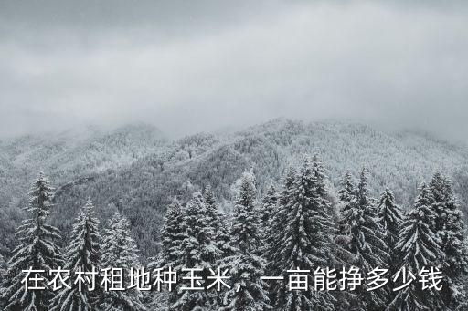 在農村租地種玉米，一畝能掙多少錢