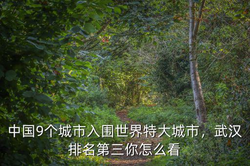 中國(guó)9個(gè)城市入圍世界特大城市，武漢排名第三你怎么看