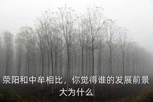滎陽和中牟相比，你覺得誰的發(fā)展前景大為什么