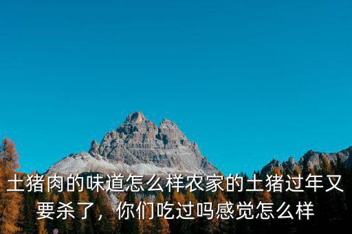 土豬肉的味道怎么樣農家的土豬過年又要殺了，你們吃過嗎感覺怎么樣