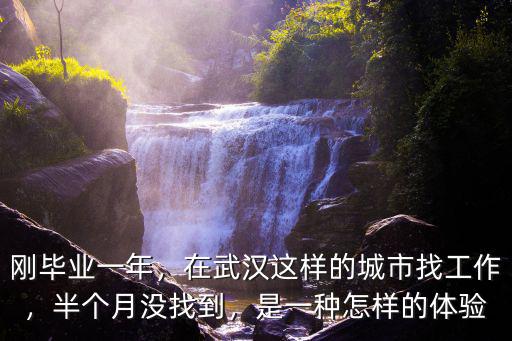 剛畢業一年，在武漢這樣的城市找工作，半個月沒找到，是一種怎樣的體驗