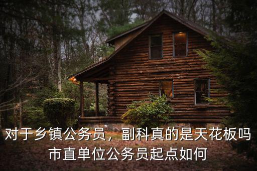 對于鄉鎮公務員，副科真的是天花板嗎市直單位公務員起點如何