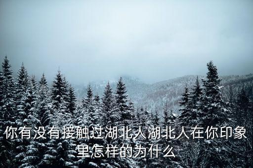 你有沒有接觸過湖北人湖北人在你印象里怎樣的為什么