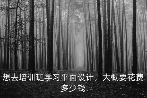 想去培訓(xùn)班學(xué)習(xí)平面設(shè)計，大概要花費多少錢