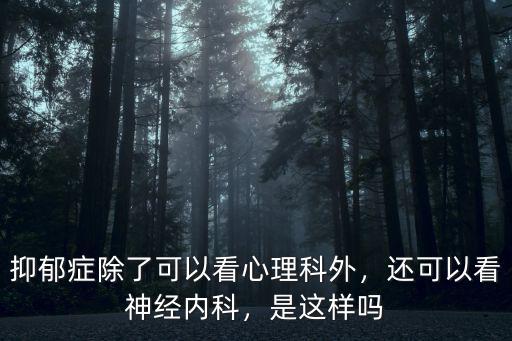 抑郁癥除了可以看心理科外，還可以看神經內科，是這樣嗎