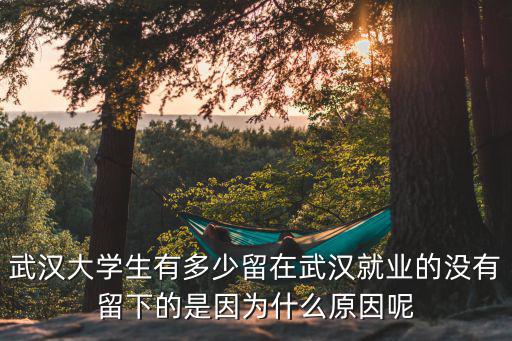 武漢大學(xué)生有多少留在武漢就業(yè)的沒(méi)有留下的是因?yàn)槭裁丛蚰? class=