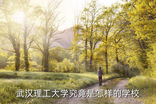 武漢理工大學(xué)究竟是怎樣的學(xué)校