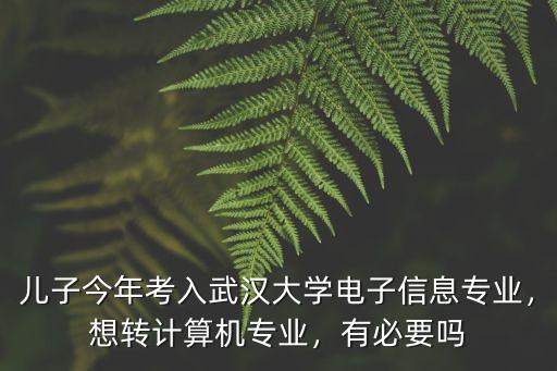 武漢大學的電子信息類專業怎么樣,武漢大學電子信息專業好嗎