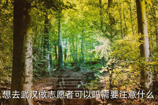 想去武漢做志愿者可以嗎需要注意什么