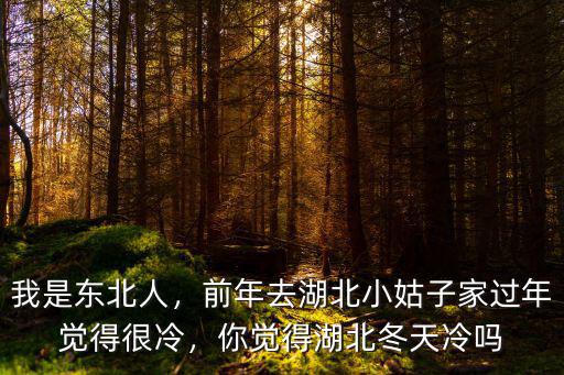 我是東北人，前年去湖北小姑子家過年覺得很冷，你覺得湖北冬天冷嗎
