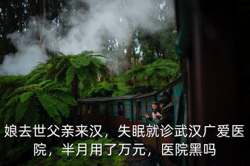 娘去世父親來漢，失眠就診武漢廣愛醫院，半月用了萬元，醫院黑嗎