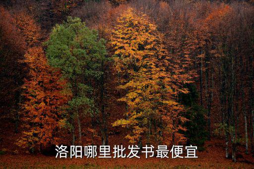 洛陽哪里批發書最便宜