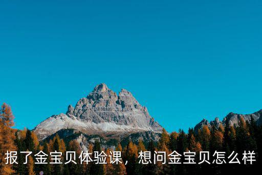 報了金寶貝體驗課，想問金寶貝怎么樣