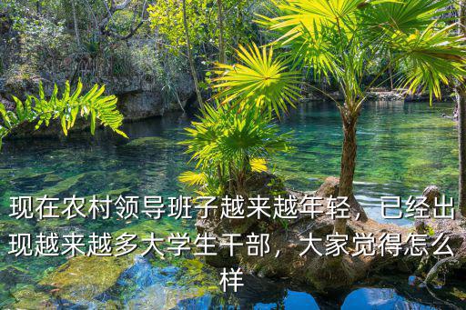 現在農村領導班子越來越年輕，已經出現越來越多大學生干部，大家覺得怎么樣