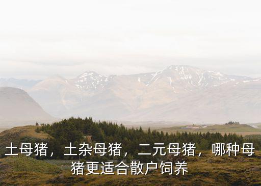 土母豬，土雜母豬，二元母豬，哪種母豬更適合散戶飼養(yǎng)