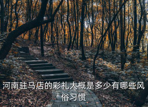 河南駐馬店的彩禮大概是多少有哪些風(fēng)俗習(xí)慣