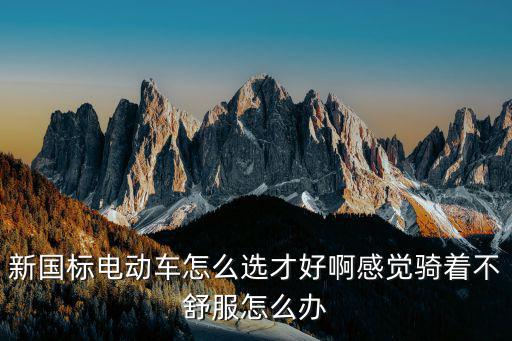 武漢新國(guó)標(biāo)電動(dòng)車騎著怎么樣,你怎么看待電動(dòng)車新國(guó)標(biāo)
