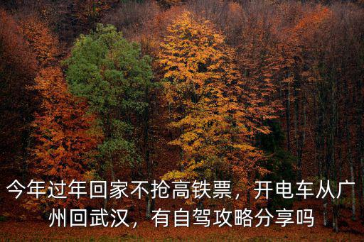 今年過年回家不搶高鐵票，開電車從廣州回武漢，有自駕攻略分享嗎