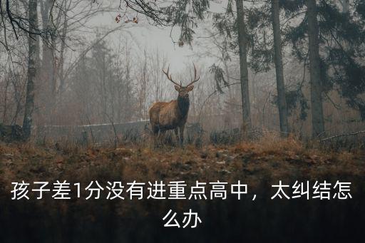孩子差1分沒有進(jìn)重點(diǎn)高中，太糾結(jié)怎么辦