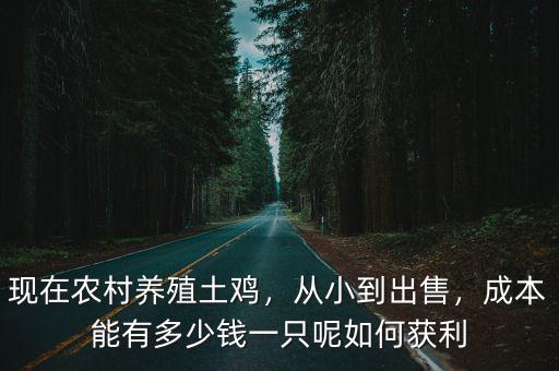現(xiàn)在農(nóng)村養(yǎng)殖土雞，從小到出售，成本能有多少錢一只呢如何獲利