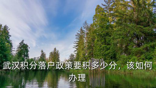 武漢積分落戶怎么查分,武漢積分落戶政策要積多少分